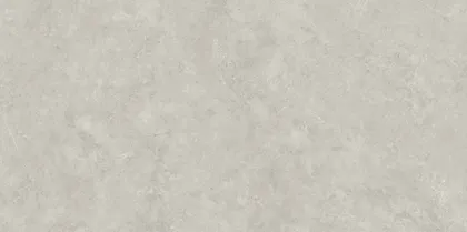 SEINA-JA PÕRANDAPLAAT PARADYZ LIGHT GREY 59,8X119,8CM 1,43M² PAKIS