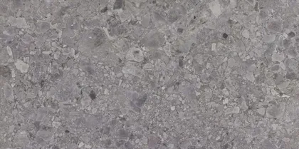 SEINA-JA PÕRANDAPLAAT PARADYZ GRANDDUST GRYS 59,8X119,8CM 1,43M² PAKIS