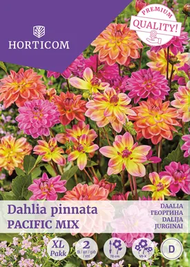 DAALIA PACIFIC MIX 2TK
