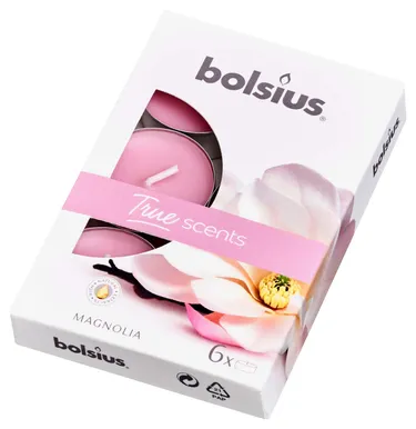 LÕHNA-TEEKÜÜNAL BOLSIUS 4H, MAGNOOLIA 6TK PAKIS