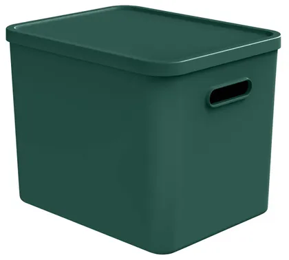 HOIUKAST KAANEGA ROTHO C4 ALBULA 27L, JÕULU ROHELINE