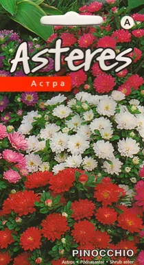 LILLESEEME PÕÕSASASTER 'PINOCHIO' SEGU