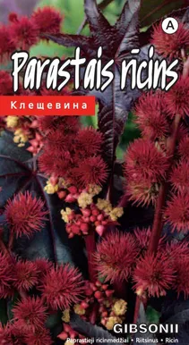 SEEMNED KURZEMES SEKLAS RIITSINUS GIBSONII 5 SEEMET