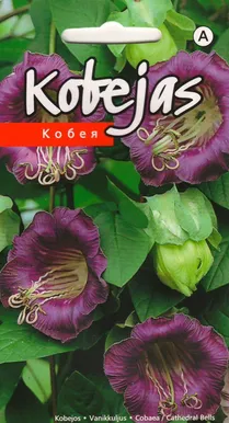 LILLESEEME VANIKKULJUS VIOLETNE 0,5G