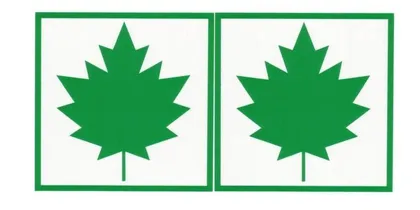 VAHTRALEHT KARTONG 2TK PAKIS