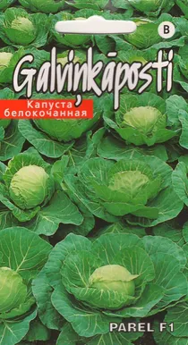 SEEMNED KURZEMES SEKLAS VALGE PEAKAPSAS 'PAREL' F1 45 SEEMET