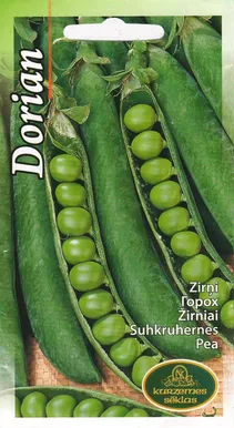 SEEMNED KURZEMES SEKLAS HERNES "DORIAN"