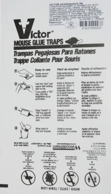 HIIRE LIIMPÜÜNIS VICTOR