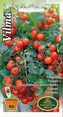 SEEMNED KURZEMES SEKLAS TOMAT "VILMA"