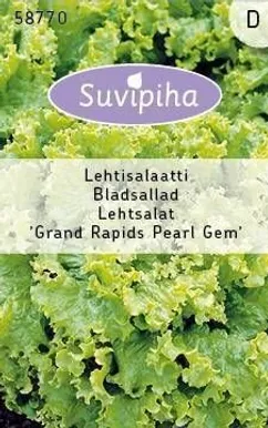 KÖÖGIVILJASEEMNED LEHTSALAT GRAND RAPIDS PEARL GEM