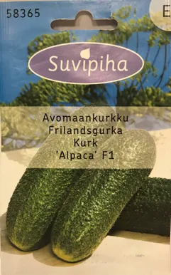 KÖÖGIVILJASEEMNED SUVIPIHA KURK ALPAKA F1 AVAMAA 10S 