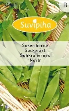 KÖÖGIVILJASEEMNED SUVIPIHA SUHKRUHERNES NORLI 