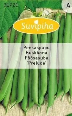 KÖÖGIVILJASEEMNED SUVIPIHA AEDUBA PRELUDE ROHELINE 
