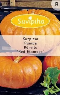 KÖÖGIVILJASEEMNED SUVIPIHA KÕRVITS RED ETAMPS 