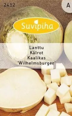 KÖÖGIVILJASEEMNED SUVIPIHA KAALIKAS WILHELMSBURGER 
