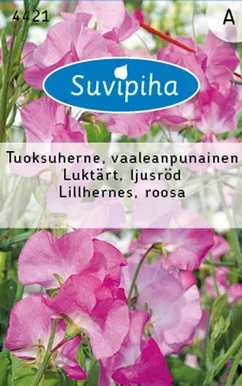 LILLESEEMNED SUVIPIHA LILLHERNES ROOSA 
