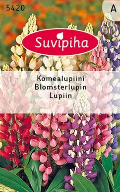 LILLESEEMNED SUVIPIHA LUPIIN 