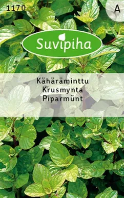 KÖÖGIVILJASEEMNED SUVIPIHA PIPARMÜNT 