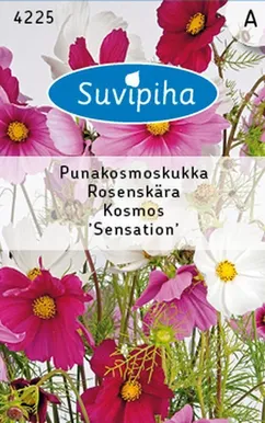 LILLESEEMNED SUVIPIHA KOSMOS SENSATION 