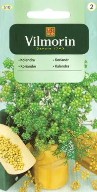 KÖÖGIVILJASEEMNED KORIANDER VILMORIN CLASSIC