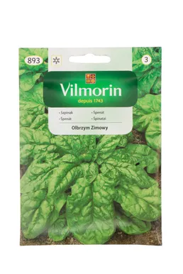KÖÖGIVILJASEEMNED SPINAT OLBYM ZIMOWY VILMORIN CLASSIC