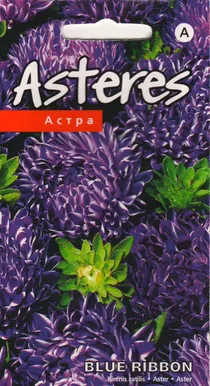 SEEMNED KURZEMES SEKLAS ASTER "BLUE RIBBON"