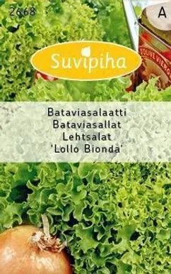 KÖÖGIVILJASEEMNED SUVIPIHA LEHTSALAT LOLLO BIONDA 