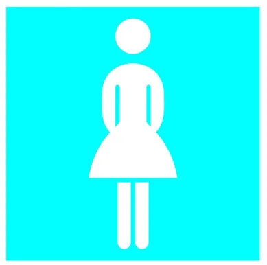 KLEEBIS NAISTE WC 10X10