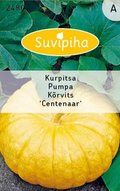 KÖÖGIVILJASEEMNED SUVIPIHA KÕRVITS GELBE CENTENAAR 