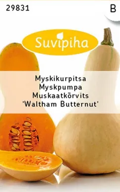 KÖÖGIVILJASEEMNED SUVIPIHA MUSKAATKÕRVITS WALTHAM BUTTERNUT 