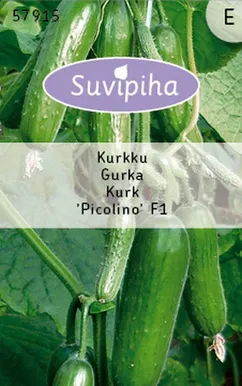 KÖÖGIVILJASEEMNED SUVIPIHA KURK PICOLINO F1 6S 