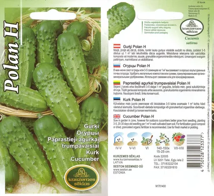 SEEMNED KURZEMES SEKLAS KURK POLAN F1 AVAMAALE 1,5G