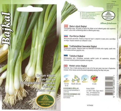 SEEMNED KURZEMES SEKLAS TALISIBUL BAJKAL 1G