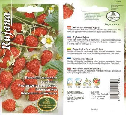 SEEMNED KURZEMES SEKLAS KUUMAASIKAS RUJANA 0,1G