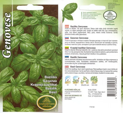 SEEMNED KURZEMES SEKLAS BASIILIK GENOVESE 1G