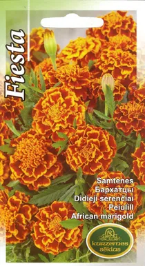 SEEMNED KURZEMES SEKLAS PEIULILL FIESTA 1 G