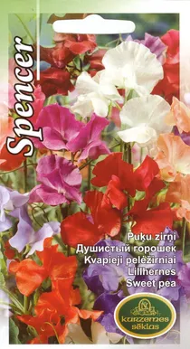 SEEMNED KURZEMES SEKLAS LILLHERNES 2 G