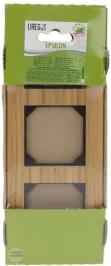 RAAM 3-NE PUIT TAMM EPSILON