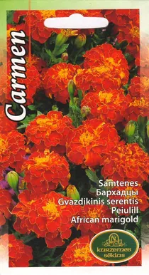 LILLESEEMNED KURZEMES SEKLAS PEIULILL CARMEN 1G