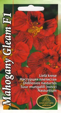 SEEMNED KURZEMES SEKLAS MUNGALILL MAHOGANY GLEAM F1 3 G