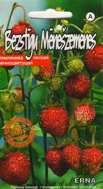 SEEMNED MAASIKAS ERNA 0,05G