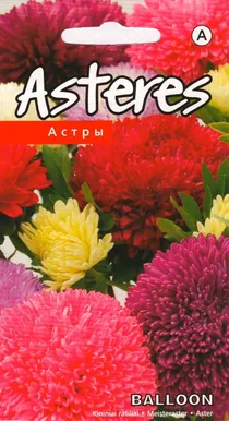 SEEMNED KURZEMES SEKLAS ASTER BALLOON SEGU 0,3 G