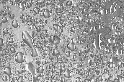 DUŠIKARDIN 180X200CM DUSCHY 623-99 VEEPIISK POLÜESTER