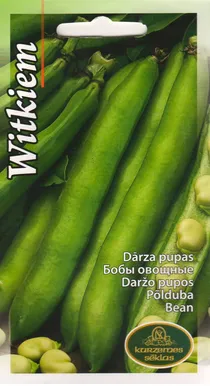 SEEMNED KURZEMES SEKLAS PÕLDUBA WITKIEM 15G