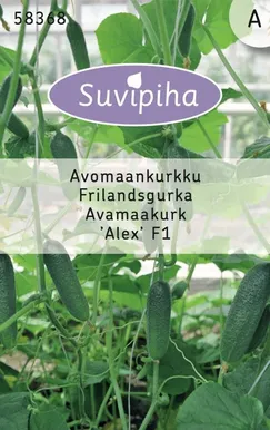 KÖÖGIVILJASEEMNED SUVIPIHA KURK ALEX F1 AVAMAA 10S 