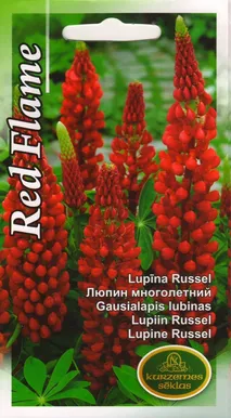 SEEMNED KURZEMES SEKLAS LUPIIN RUSSEL RED FLAME 0,5G