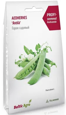 SEEMNED BALTIC AGRO HERNES "AVOLA" F1