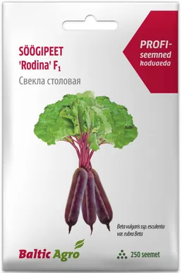 SEEMNED BALTIC AGRO PUNAPEET "RODINA" F1