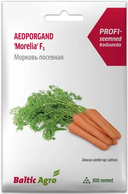 SEEMNED BALTIC AGRO PORGAND "MORELIA" RZ F1