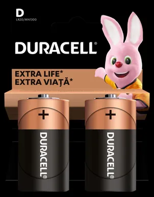 PATAREI DURACELL D/MN1300 2TK 